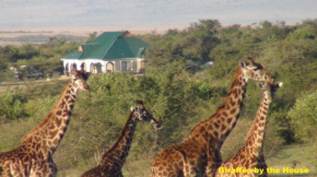 Narasha Homestay - Maasai Mara